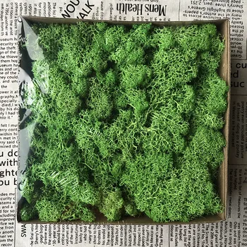 200g Prírodné Kvalitné Sušené Trávy DIY Materiálov Ručné Giftbox Newyear Svadobné Domov Deocration Multicolors Konzervované Moss