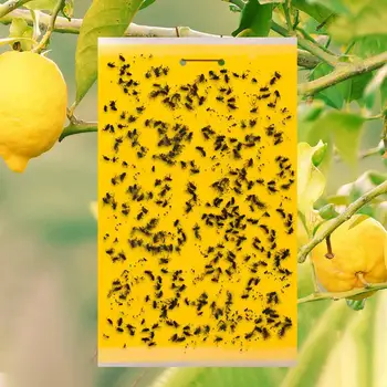 20Pcs-Obojstranné Žlté Samolepiace Lietať Pešti Chybu Catcher Doska Hmyzu Pasce Nástroj Hmyzu Catcher Dosky