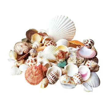 300g Námorných mušľami Zdobením Shell Plavidlá Akvárium Dekor Ozdoby Prírodné Mini Conch Stredozemného