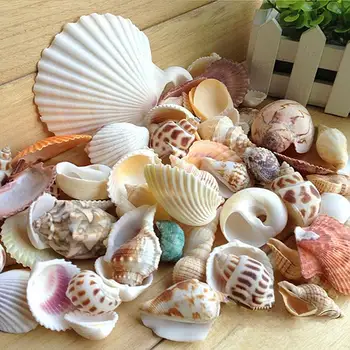 300g Námorných mušľami Zdobením Shell Plavidlá Akvárium Dekor Ozdoby Prírodné Mini Conch Stredozemného
