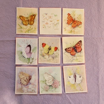 5X6cm motýľ patchwork bavlna plátno Tkanina mini patchwork Handričkou diy dekorácie malá náplasť
