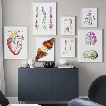 Anatómia Kostra Umeleckých Obrazov Na Stenu Ľudské Srdce, Mozog, Pľúca Plátno Na Maľovanie Nordic Plagáty A Vypíše Lekár Office Dekor