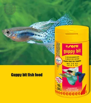 Guppy ryby malé tropické ryby potraviny granule pomaly potápa rýb, potravín, krmív