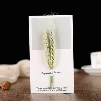 Gypsophila sušených kvetov, vlastnoručný pozdrav, požehnanie karty darček k narodeninám karty svadobné oznámenia a pozvánky #2