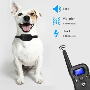 HOT Predaj Nové bezdrôtové elektronické diaľkové výcvik psa 300 metrov od modrej mimo obrazovky