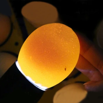Inkubátor Eggtester Vajcia Test Baterka Studenej Inkubačná 9 LED Presvecovanie Vajec Lampa