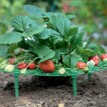 Jahoda Podporuje Rastlín Rastúcich Rastlín Podporuje Kolísky Rack Udržať Ovocie, Aby Sa Zabránilo Zvýšenej Zemi Hniť Záhradné Doplnky