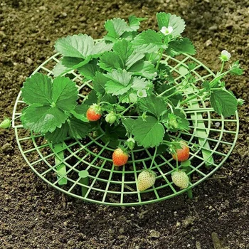 Jahoda Podporuje Rastlín Rastúcich Rastlín Podporuje Kolísky Rack Udržať Ovocie, Aby Sa Zabránilo Zvýšenej Zemi Hniť Záhradné Doplnky