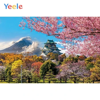 Japonsko Mount Fuji Čerešňové Kvety Park Prírodná Scenéria Dieťa Portrét Pozadie Vinyl Fotografie Pozadie Pre Photo Studio Strieľať