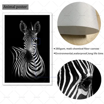 Maliarske plátno Čierna Biela Zvieratá Obrázky Domova Zebra Nástenné Plátno Umenia pre Obývacia Izba Plagát a Výtlačky