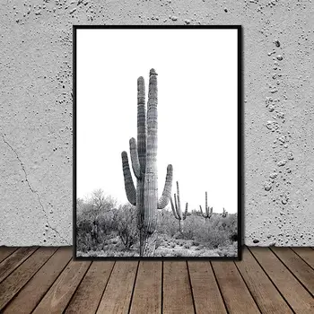 Plagát Púšti Kaktus Rodiny Plagát Maľovanie pre Dieťa Wall Art Obraz Obývacia Izba Domova Plagáty olejomaľba 1T