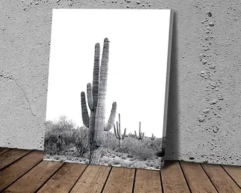 Plagát Púšti Kaktus Rodiny Plagát Maľovanie pre Dieťa Wall Art Obraz Obývacia Izba Domova Plagáty olejomaľba 1T