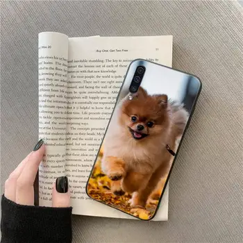 Pomeranian Pom roztomilý pes zvierat Telefón puzdro Pre Samsung galaxy S 9 10 20 10 21 30 31 40 50 51 71 s poznámka 20 j 4 2018 plus