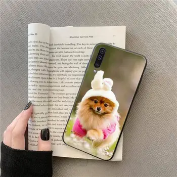 Pomeranian Pom roztomilý pes zvierat Telefón puzdro Pre Samsung galaxy S 9 10 20 10 21 30 31 40 50 51 71 s poznámka 20 j 4 2018 plus