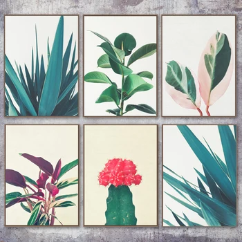 Tropické Kaktus Monstera Aloe List Wall Art Plátno Na Maľovanie Nordic Plagáty A Vytlačí Rastlín Obrazov Na Stenu Pre Obývacia Izba Dekor