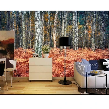 Vlastné prírodné wallcovering,Jeseň v breza lesa nástenná maľba na Obývacia izba gauč spálňa papier pozadí steny abstraktných de parede