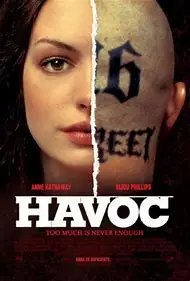 Zmätok 2005 Film Anne Hathaway HODVÁB PLAGÁT Dekoratívne Nástenné maľby 24x36inch 01